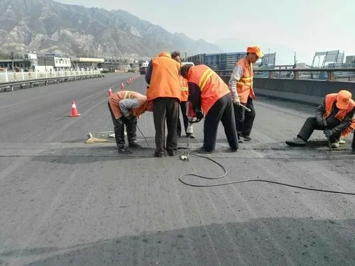 大渡口道路桥梁病害治理