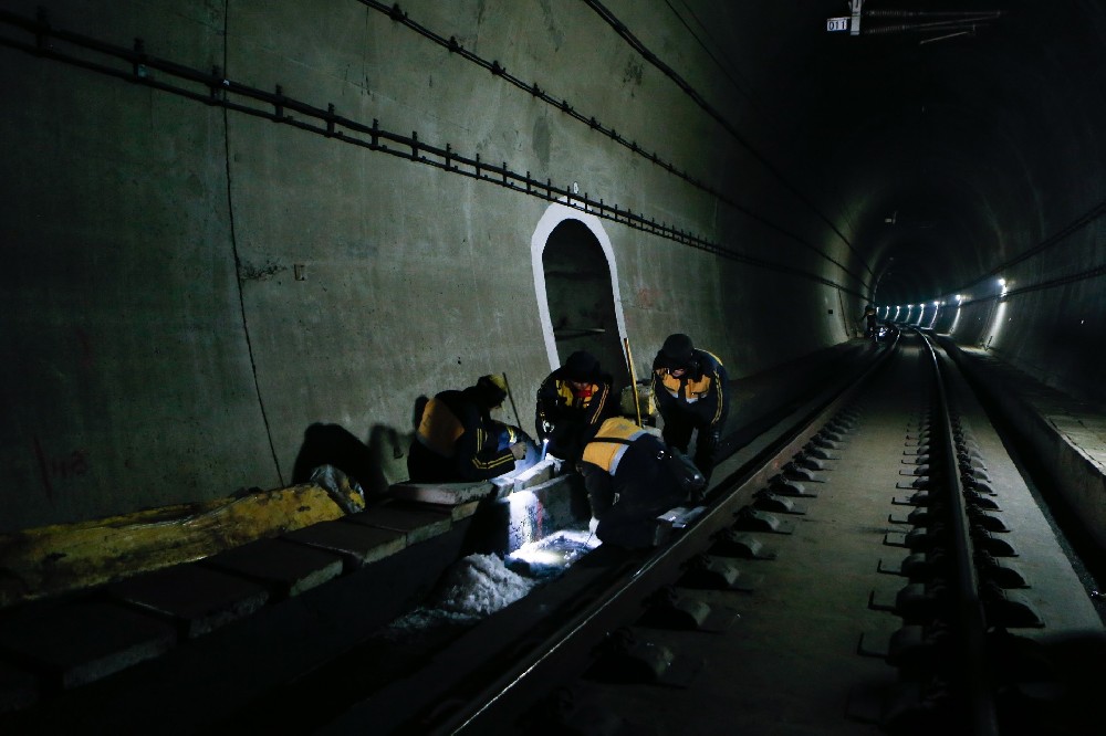 大渡口铁路运营隧道病害现状